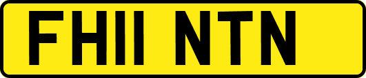 FH11NTN