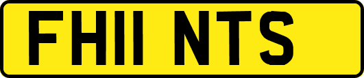 FH11NTS