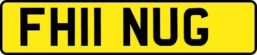 FH11NUG
