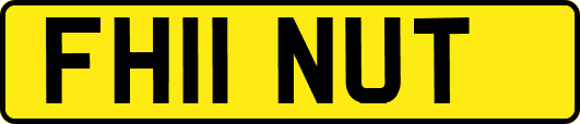 FH11NUT