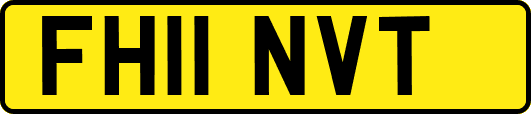 FH11NVT