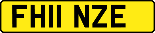 FH11NZE