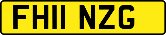 FH11NZG