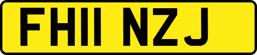 FH11NZJ
