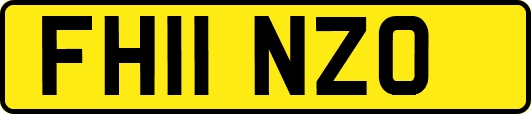 FH11NZO