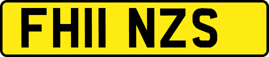 FH11NZS