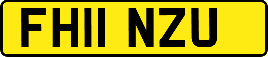FH11NZU