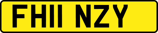 FH11NZY