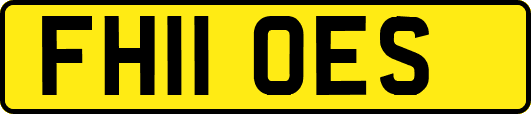FH11OES