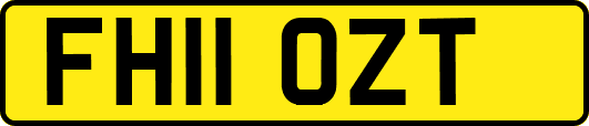 FH11OZT