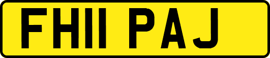 FH11PAJ