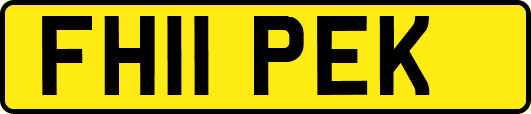 FH11PEK