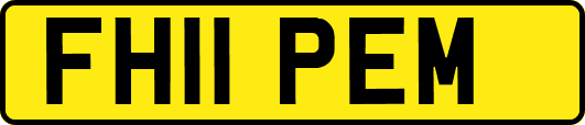 FH11PEM