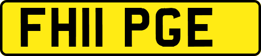 FH11PGE