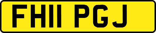 FH11PGJ