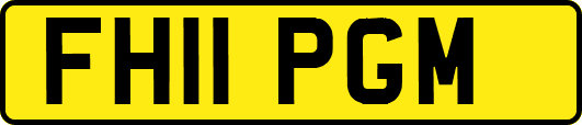 FH11PGM