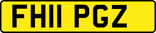 FH11PGZ