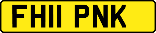 FH11PNK