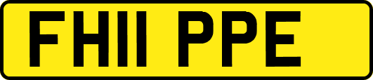 FH11PPE