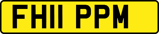 FH11PPM