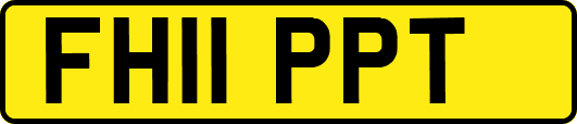 FH11PPT