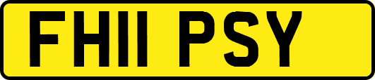 FH11PSY