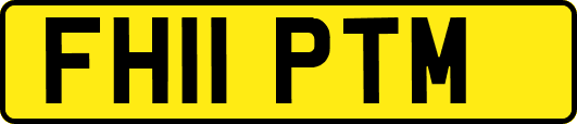 FH11PTM