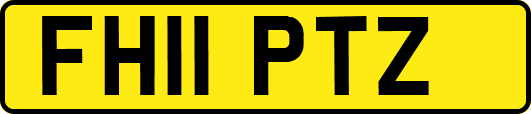 FH11PTZ