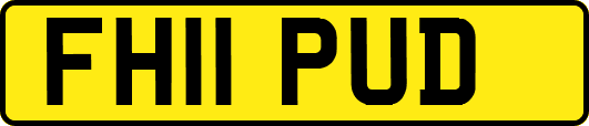 FH11PUD