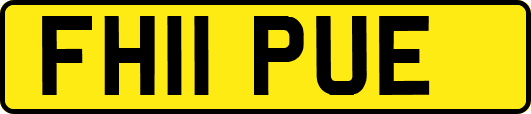 FH11PUE