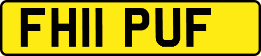 FH11PUF