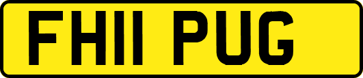 FH11PUG