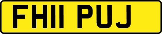 FH11PUJ