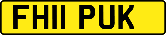 FH11PUK