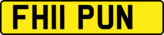 FH11PUN