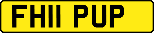 FH11PUP