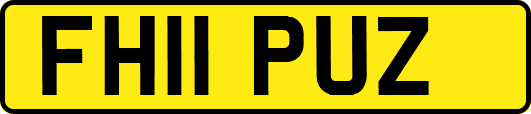 FH11PUZ