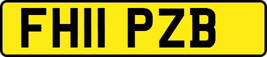FH11PZB