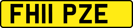 FH11PZE