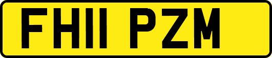 FH11PZM