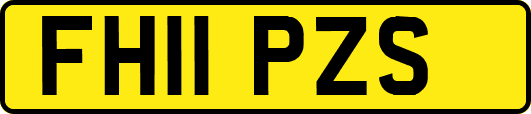 FH11PZS