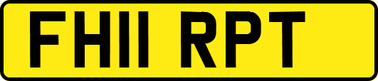 FH11RPT
