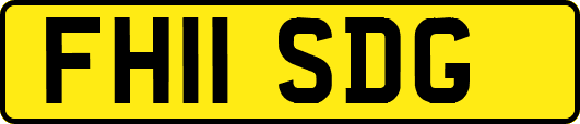 FH11SDG
