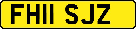 FH11SJZ