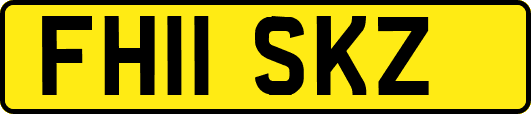 FH11SKZ