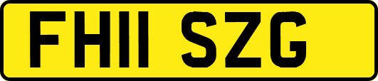 FH11SZG