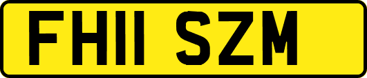 FH11SZM