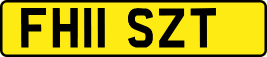 FH11SZT