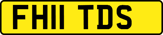 FH11TDS