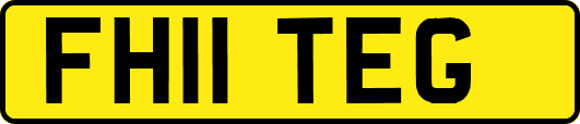 FH11TEG